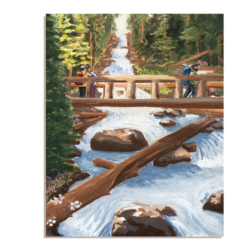 Calypso Cascade Waterfall, Rocky Mountain National Park image 0