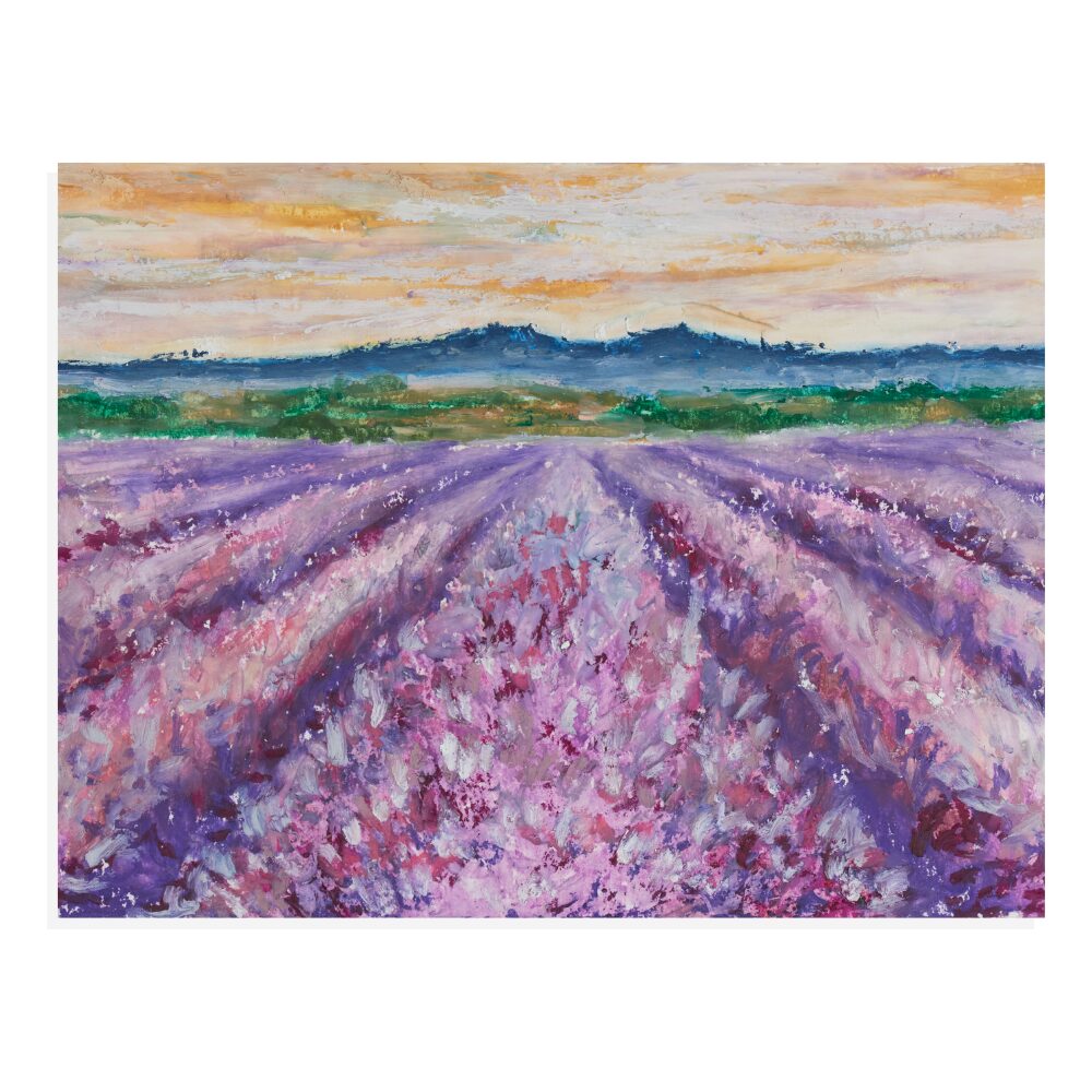 Lavender Fields image 0