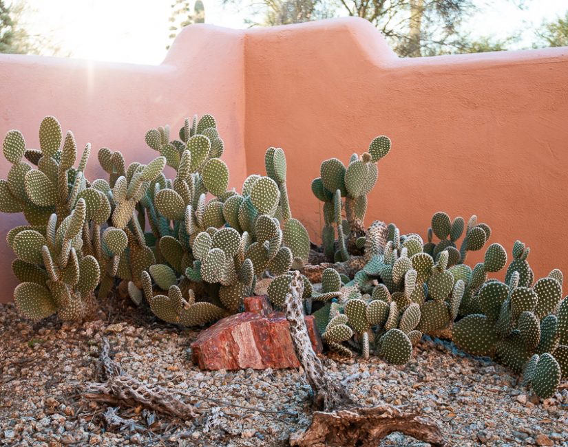 Slow Living In Business