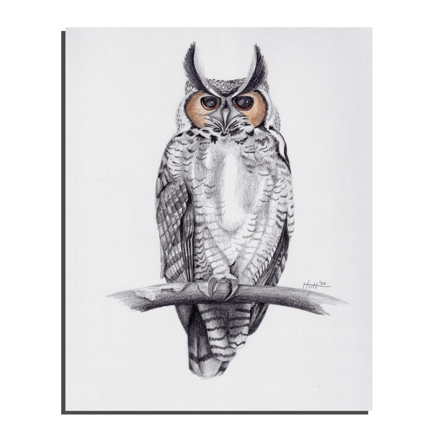 Great Horned Owl Modern Magic Art Print