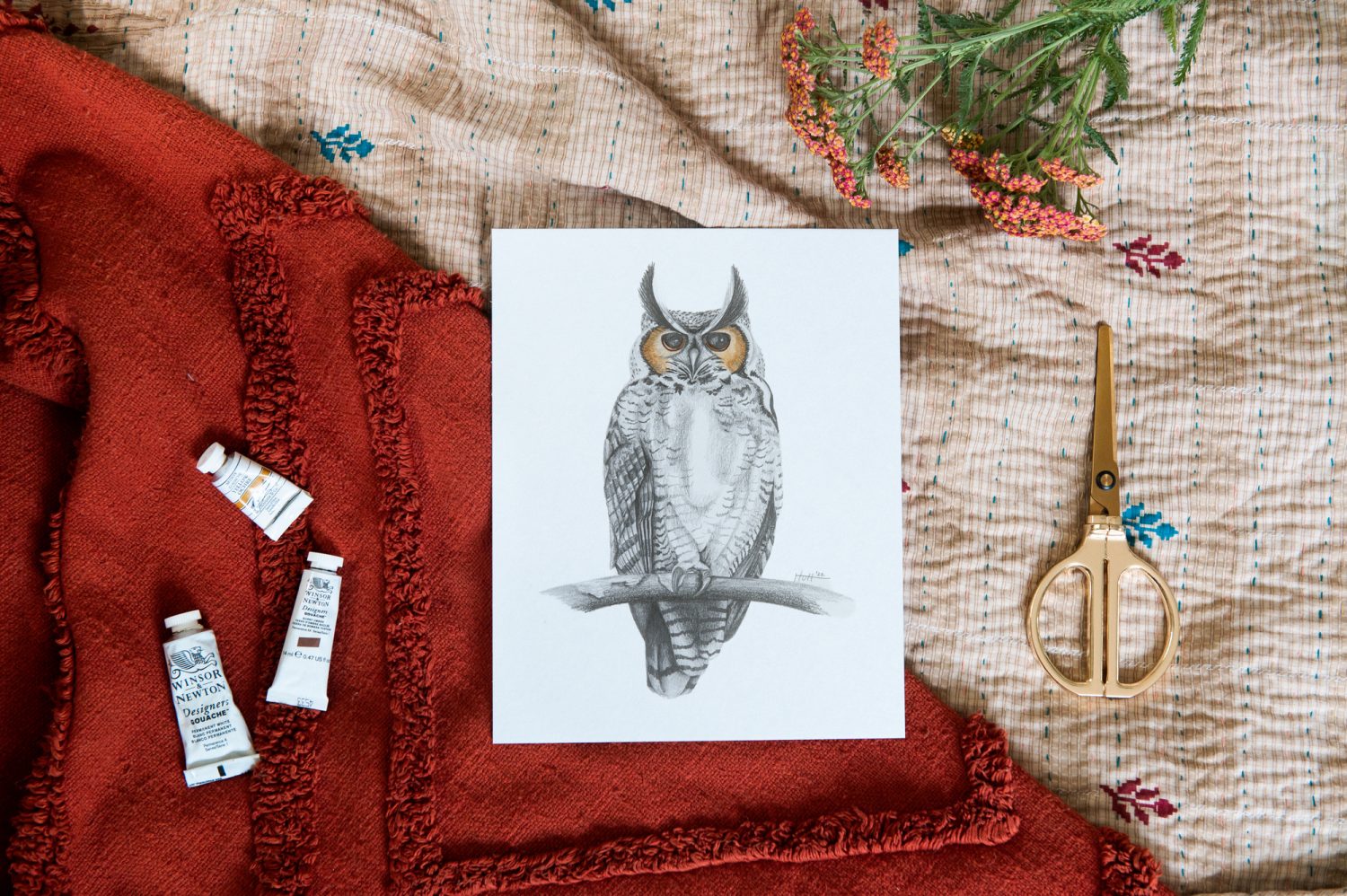 Katie Leigh Hutt graphite + colored pencil drawing of Owl