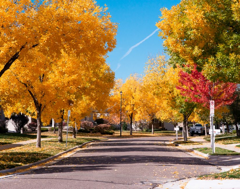 All Hallows Eve or Samhain