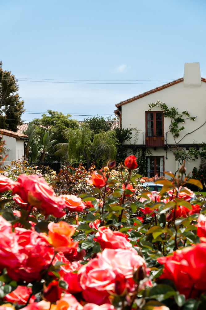 Airbnb Photography