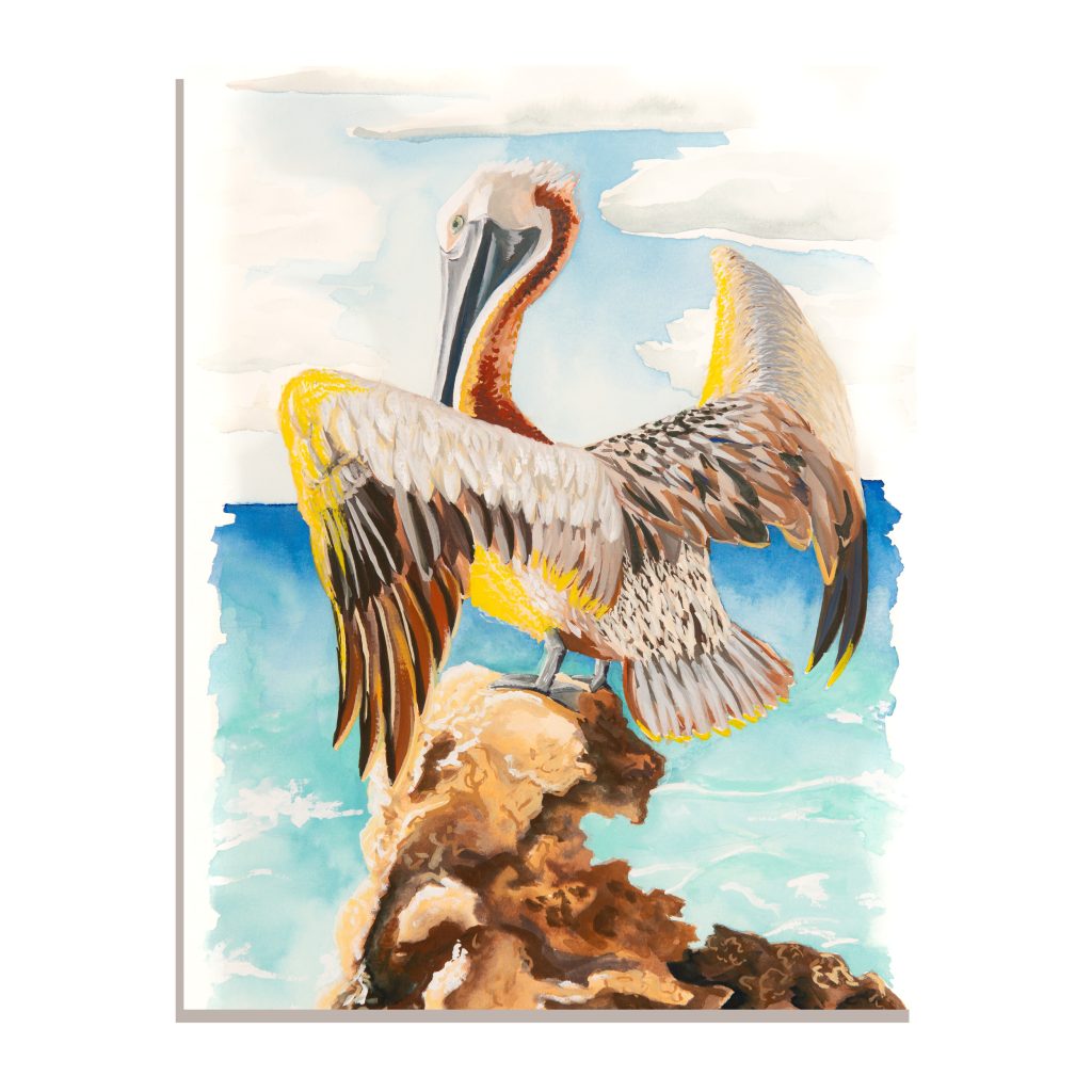 Brown Pelican Cove Original Gouache Painting