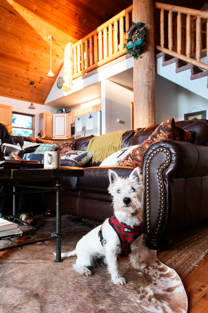 Denver VRBO Photographer