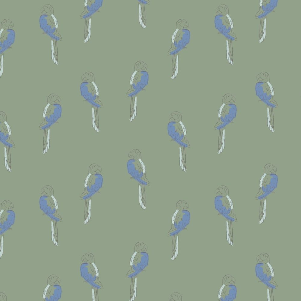 Tropical Macaw Birds in sage wallpaper by Modern Magic