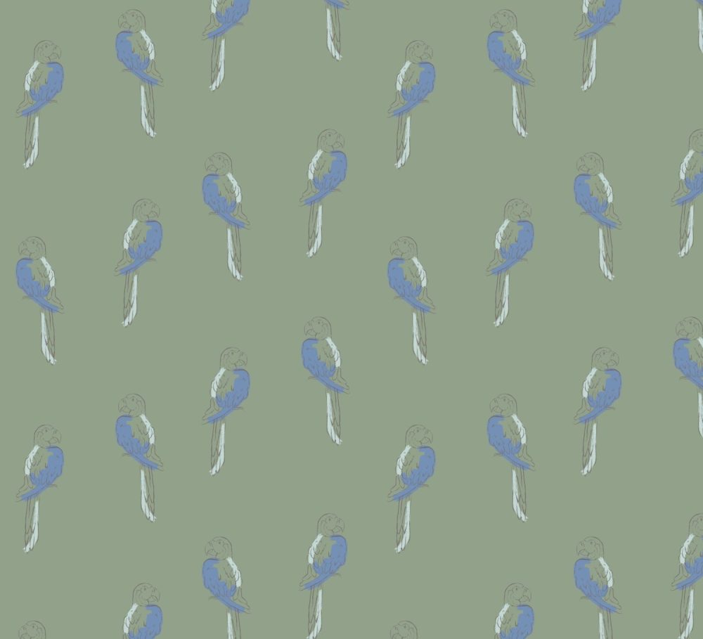 Tropical Macaw Birds in sage wallpaper by Modern Magic