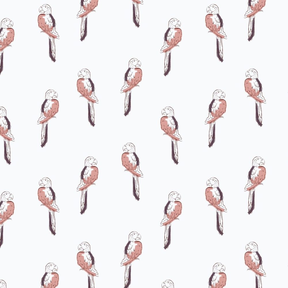 Tropical Macaw Birds in pink wallpaper by Modern Magic