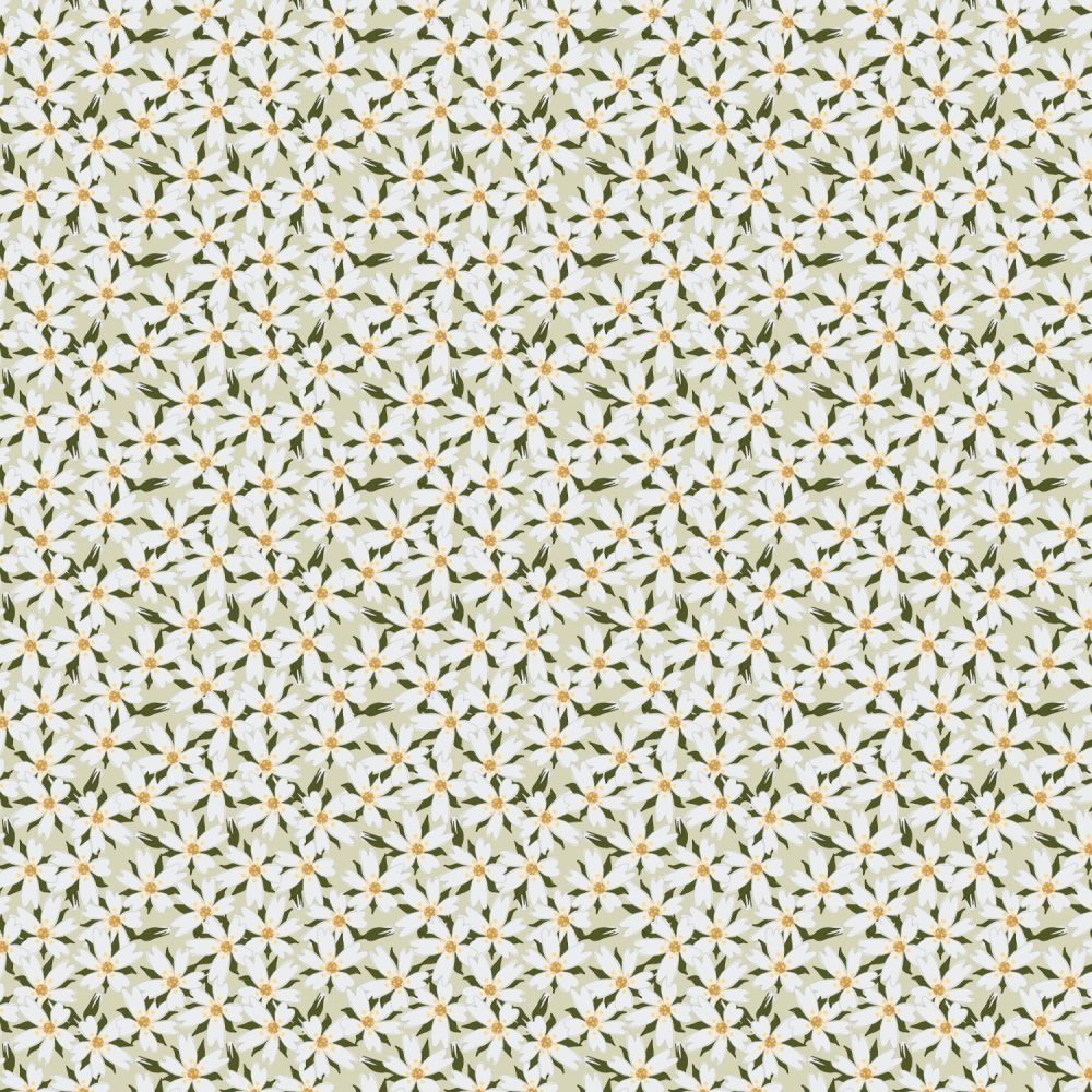 moused eared chickweed wallpaper