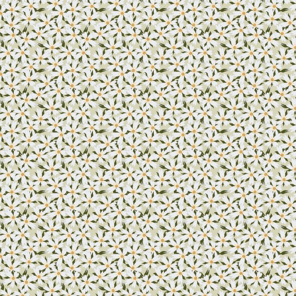 moused eared chickweed wallpaper