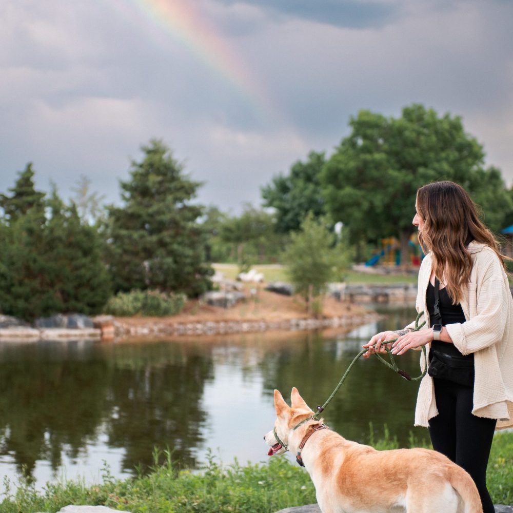 Denver Dog Trainer