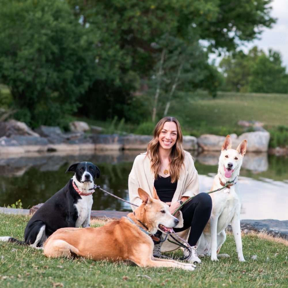 Denver Dog Trainer