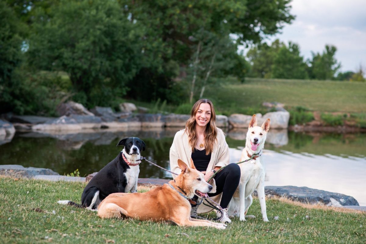 Denver Dog Trainer