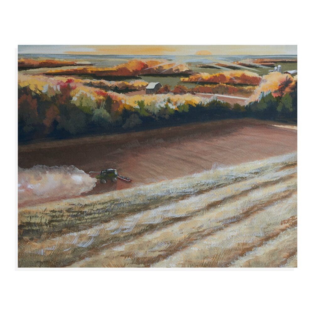 Fall harvest Combine in the corn fields painting