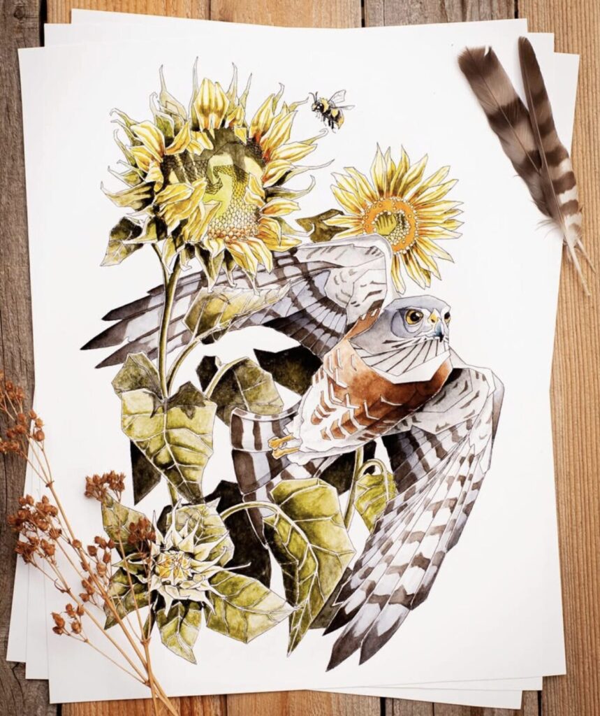 Andrew Barker, Top Colorado Artist