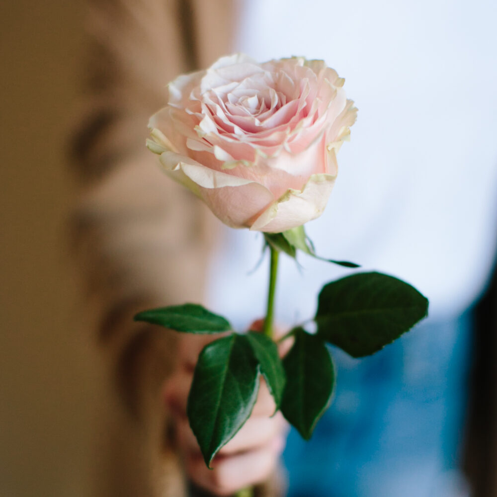 Brand in Bloom for Denver Small Businesses