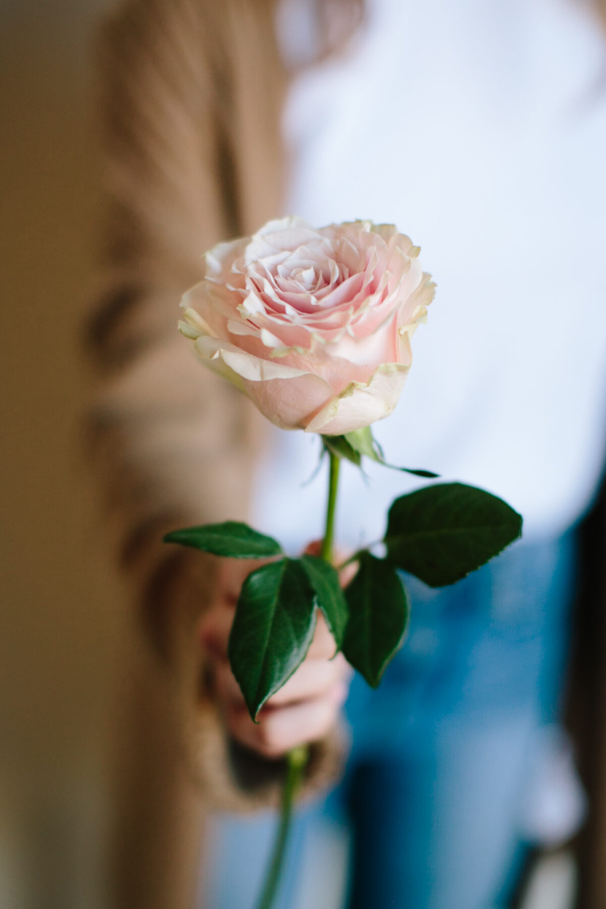 Brand in Bloom for Denver Small Businesses