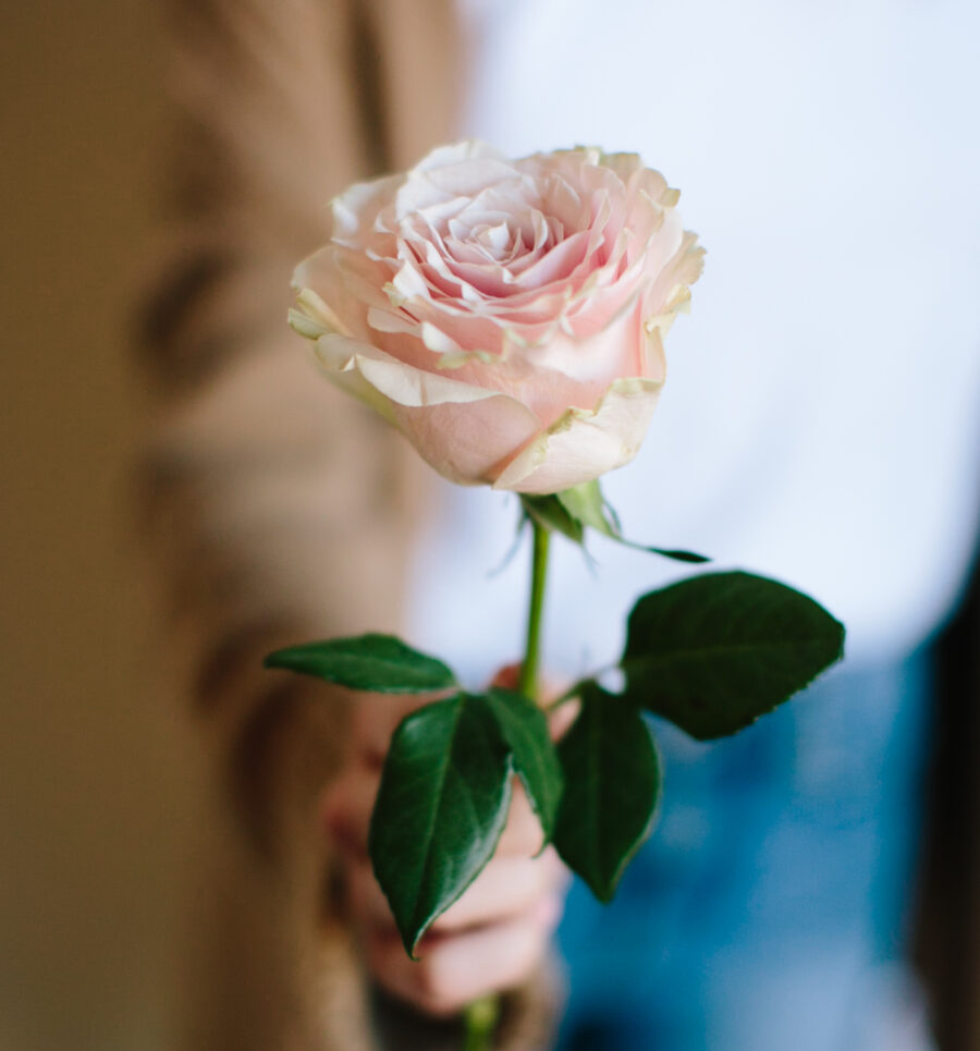 Brand in Bloom for Denver Small Businesses