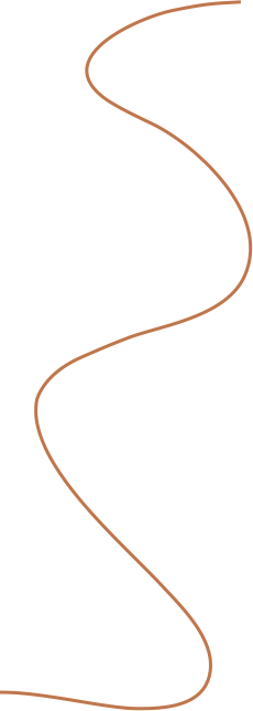 camille_line_graphic_orange